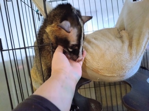 20260224_074343~2_copy_800x600