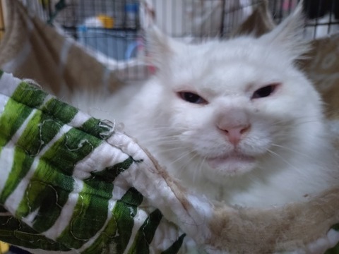 20260222_085334_copy_800x600