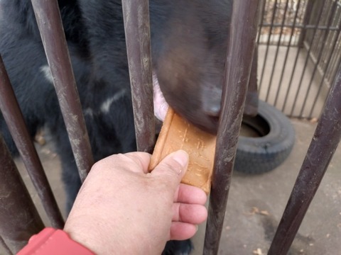 20260131_122908_copy_800x600