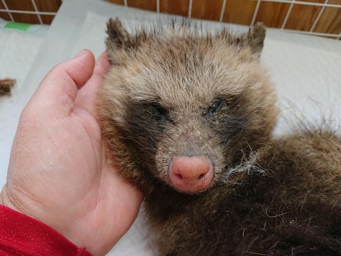 DSC_5843_copy_800x600