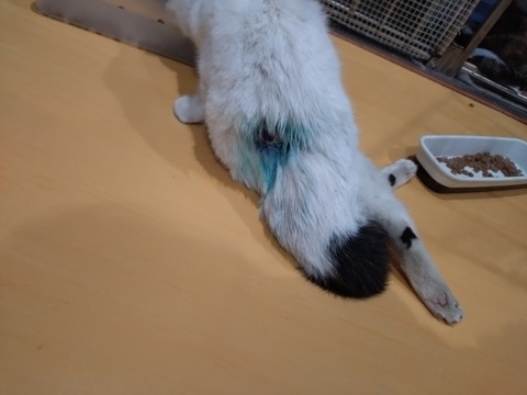 20251206_083612_copy_800x600