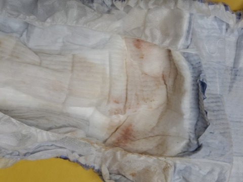 20260306_150931_copy_800x600