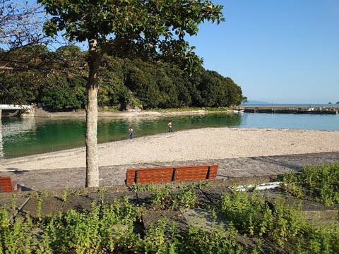 DSC_0629_copy_800x600