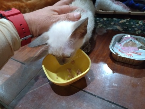 20251216_204439_copy_800x600