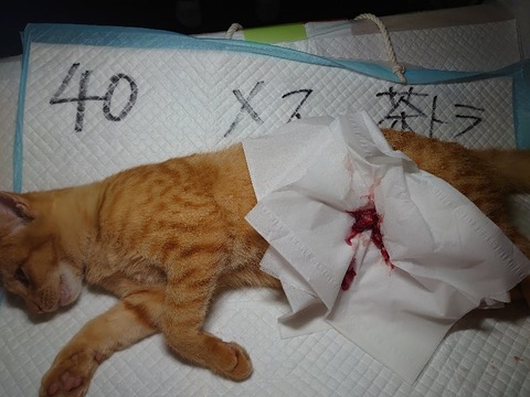 DSC_1637_copy_800x600