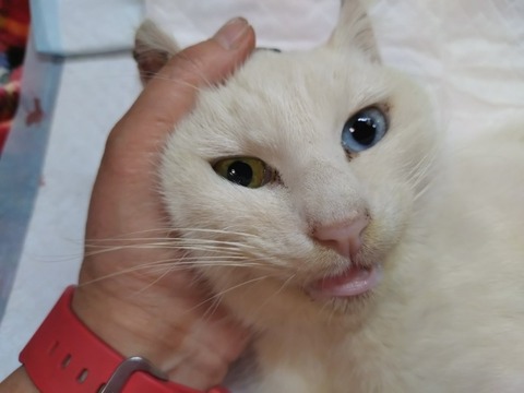 20260125_170014_copy_800x600