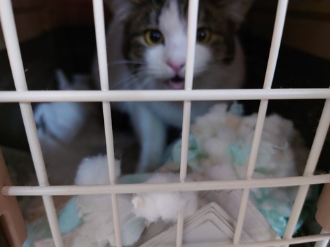 20231116_103102_copy_800x600