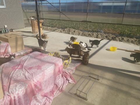 20240302_140145_copy_800x600