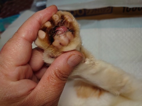 DSC_0847_copy_800x600