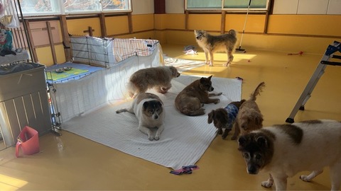 1767666354549_copy_853x480