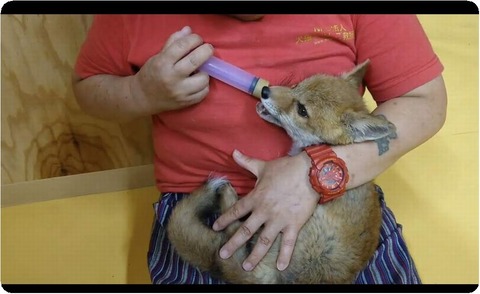 Screenshot_20230612-184308_copy_1080x662