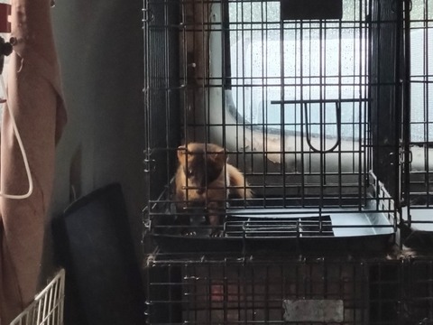 20250920_123821_copy_816x612