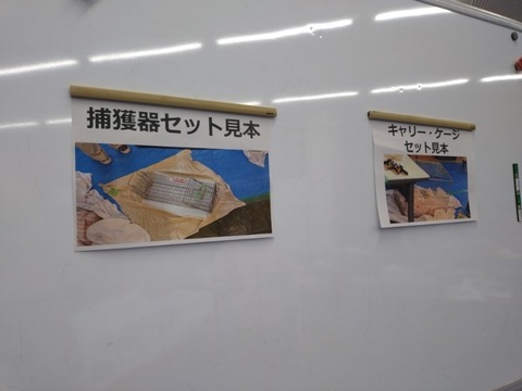 20251207_143924_copy_800x600