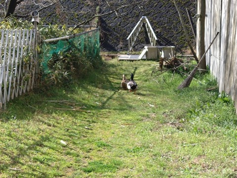 20260323_092621_copy_800x600