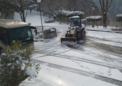 DSC_3349_copy_800x565