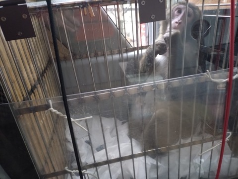 20260302_105118_copy_800x600