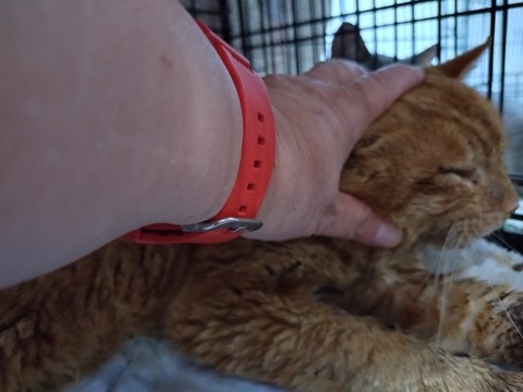 20260227_102500_copy_800x600