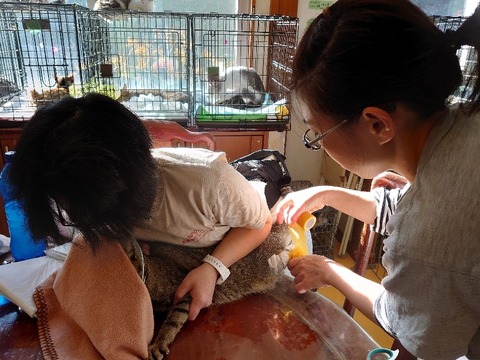 DSC_1539_copy_800x600