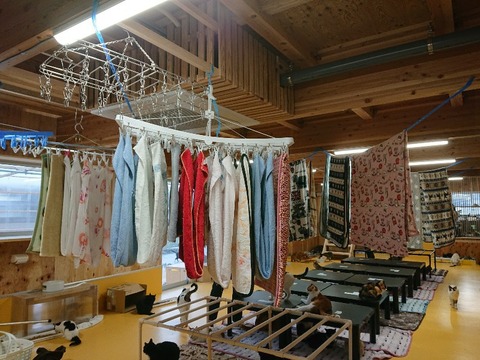 DSC_5810_copy_800x600