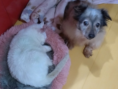 20251213_131034_copy_800x600