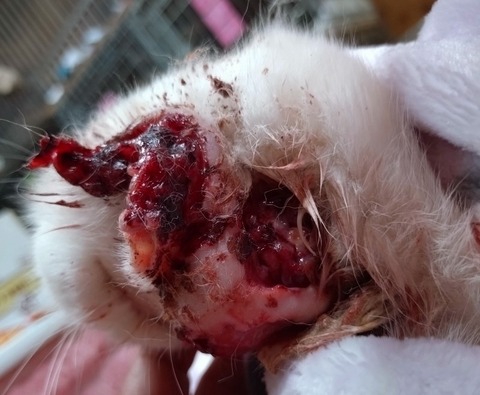 20260211_094511_copy_800x659