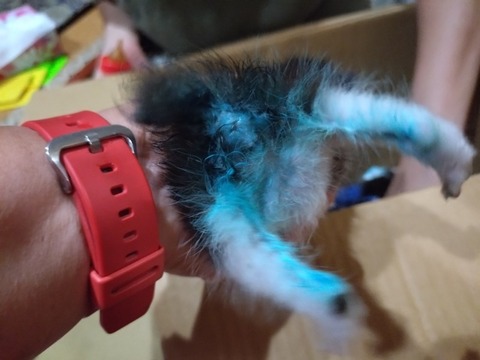 20251020_202650_copy_800x600