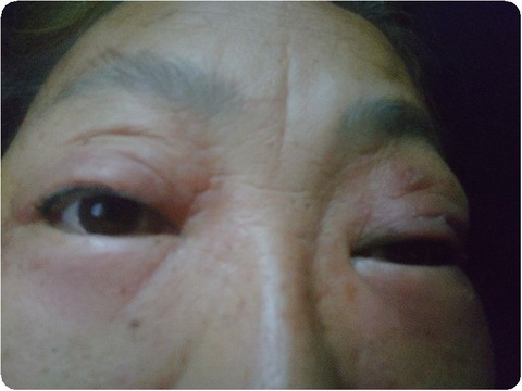 DSC_6095_copy_800x600