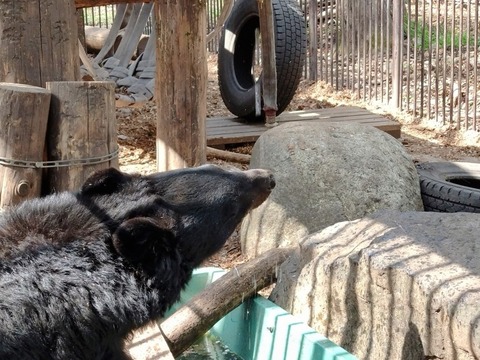 20250421_140657~2_copy_816x612