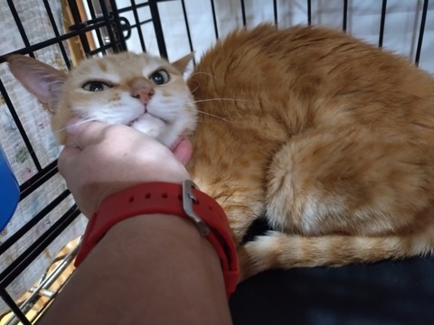 20251019_182830_copy_800x600