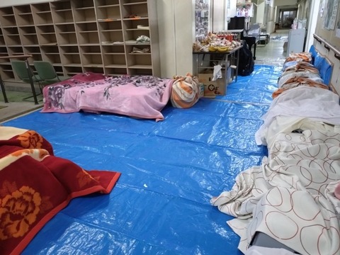 20251126_050643_copy_800x600