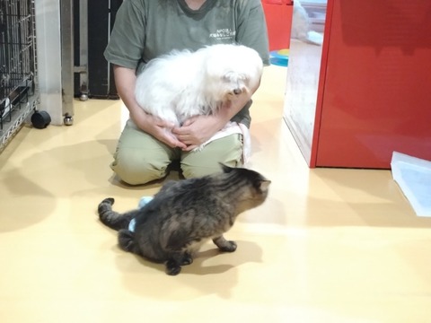 20251020_161849_copy_816x612