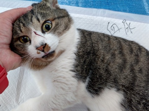 20251221_085808_copy_800x600