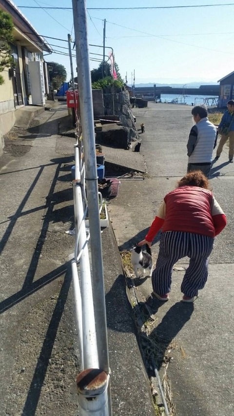 1544932326527-600x1066