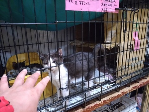 20251024_185249_copy_800x600