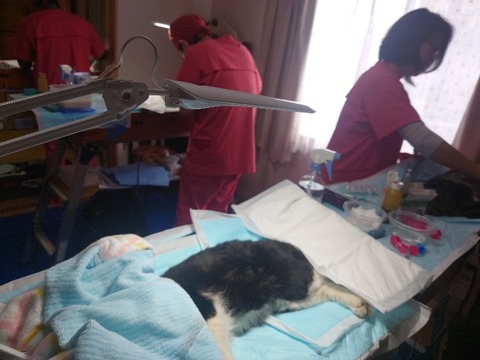 20240313_103443_copy_800x600