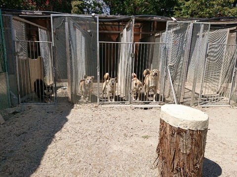 DSC_6467_copy_800x600