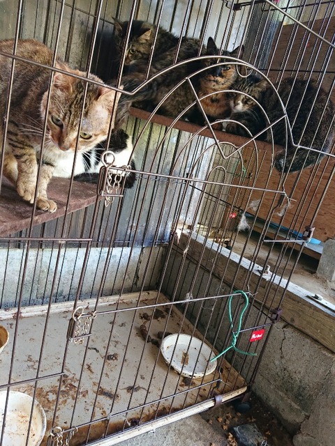 DSC_6331_copy_600x800