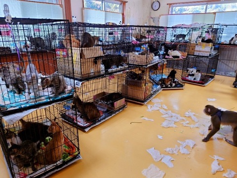 20230301_083347~2_copy_800x600