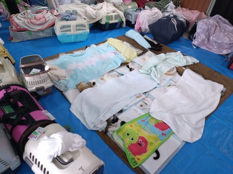 20250625_123010_copy_800x600