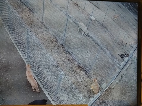 20260208_162449_copy_800x600