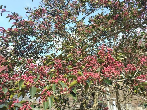 20250121_112959-EDIT_copy_800x600