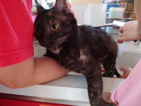 20230404_084234_copy_800x600