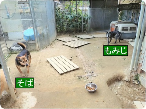 20250330_103722