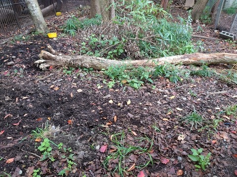 20221013_085513_copy_800x600