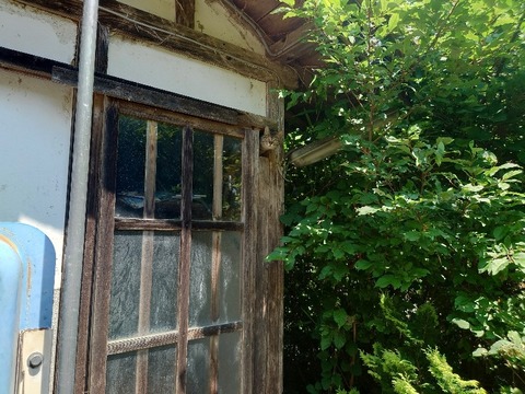 20230607_124348_copy_800x600