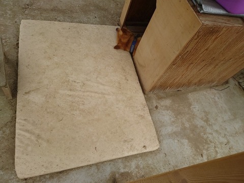 20230606_140556_copy_800x600