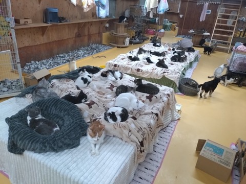 20251222_165023_copy_800x600