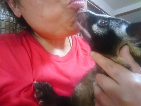 20230618_202005_copy_800x600