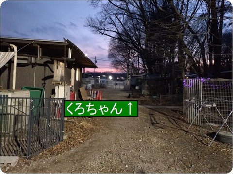 20250301_175538