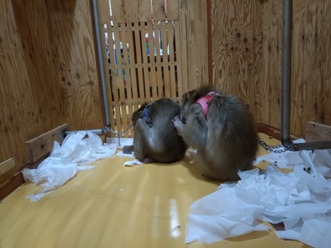 20260130_080053_copy_800x600